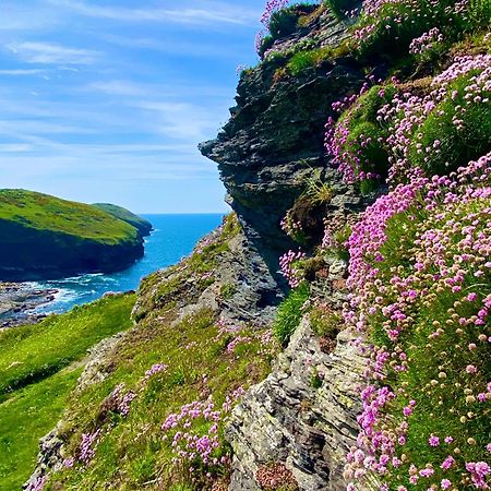 Polrunny Farm Blackberry Cottage - Cornwall Bliss In Sight Of The Sea Boscastle Dış mekan fotoğraf