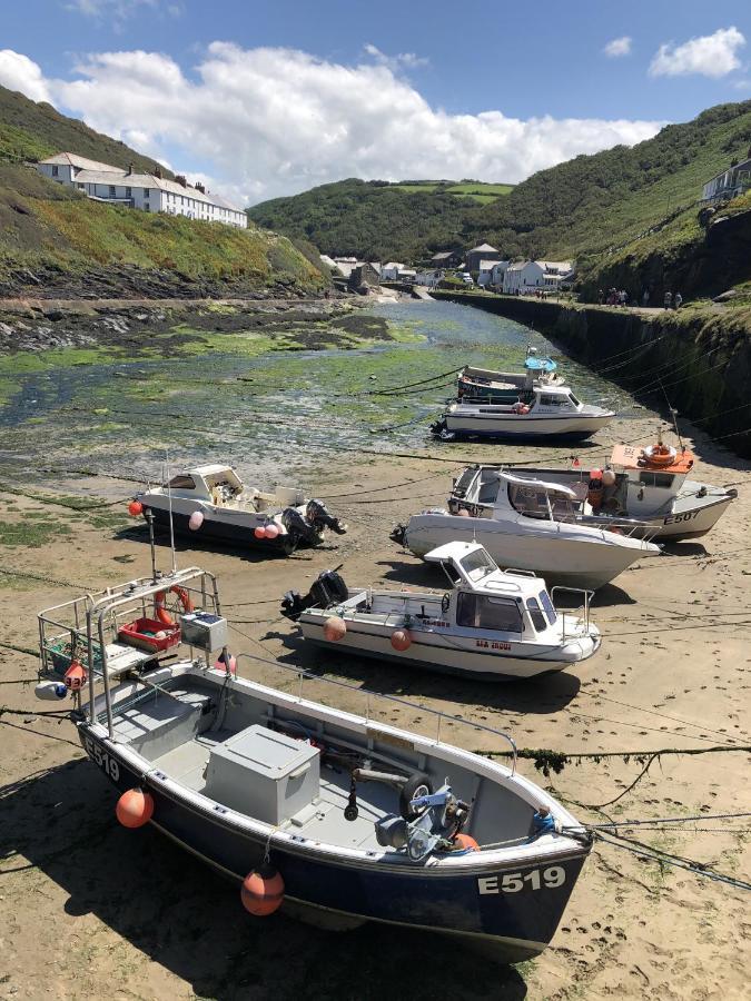 Polrunny Farm Blackberry Cottage - Cornwall Bliss In Sight Of The Sea Boscastle Dış mekan fotoğraf