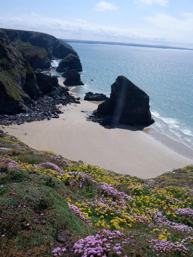 Polrunny Farm Blackberry Cottage - Cornwall Bliss In Sight Of The Sea Boscastle Dış mekan fotoğraf