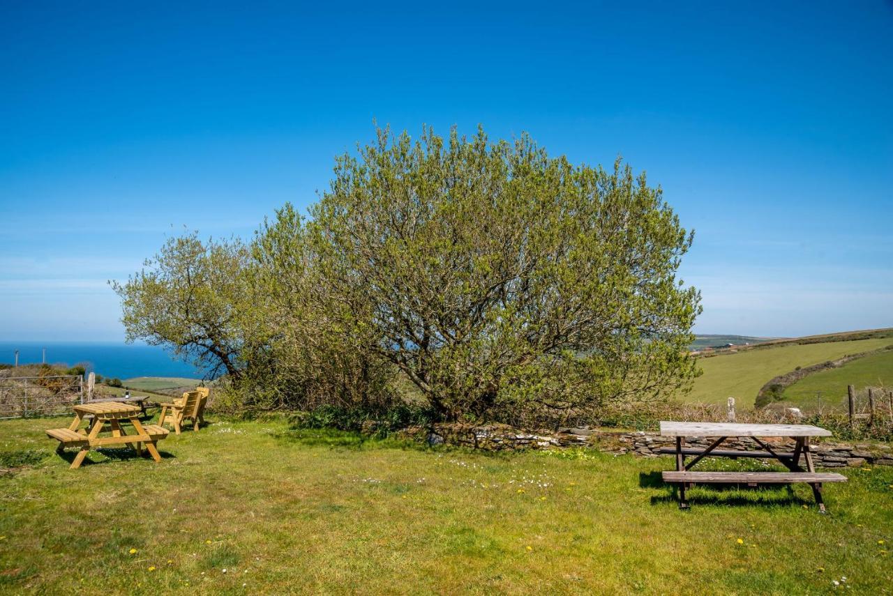 Polrunny Farm Blackberry Cottage - Cornwall Bliss In Sight Of The Sea Boscastle Dış mekan fotoğraf