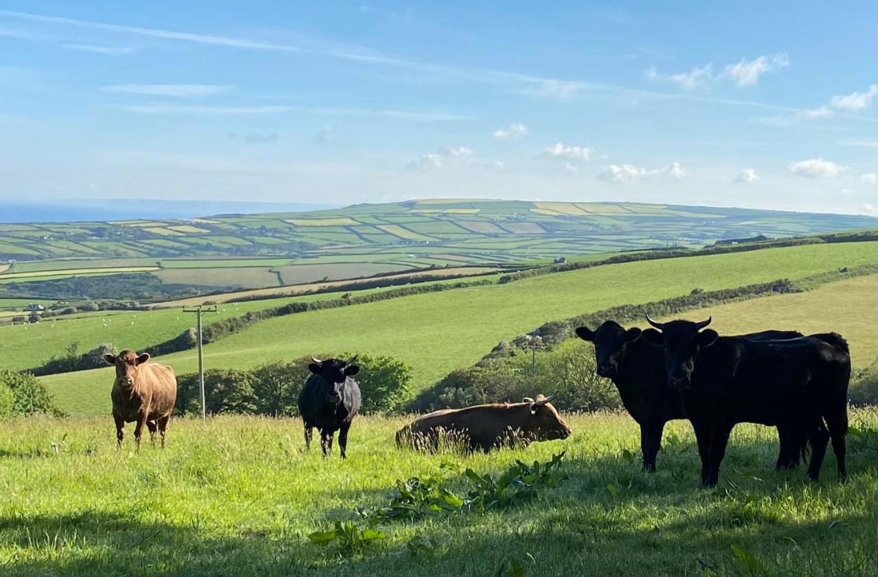 Polrunny Farm Blackberry Cottage - Cornwall Bliss In Sight Of The Sea Boscastle Dış mekan fotoğraf