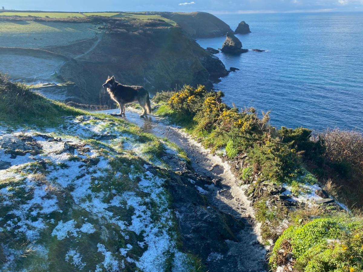 Polrunny Farm Blackberry Cottage - Cornwall Bliss In Sight Of The Sea Boscastle Dış mekan fotoğraf