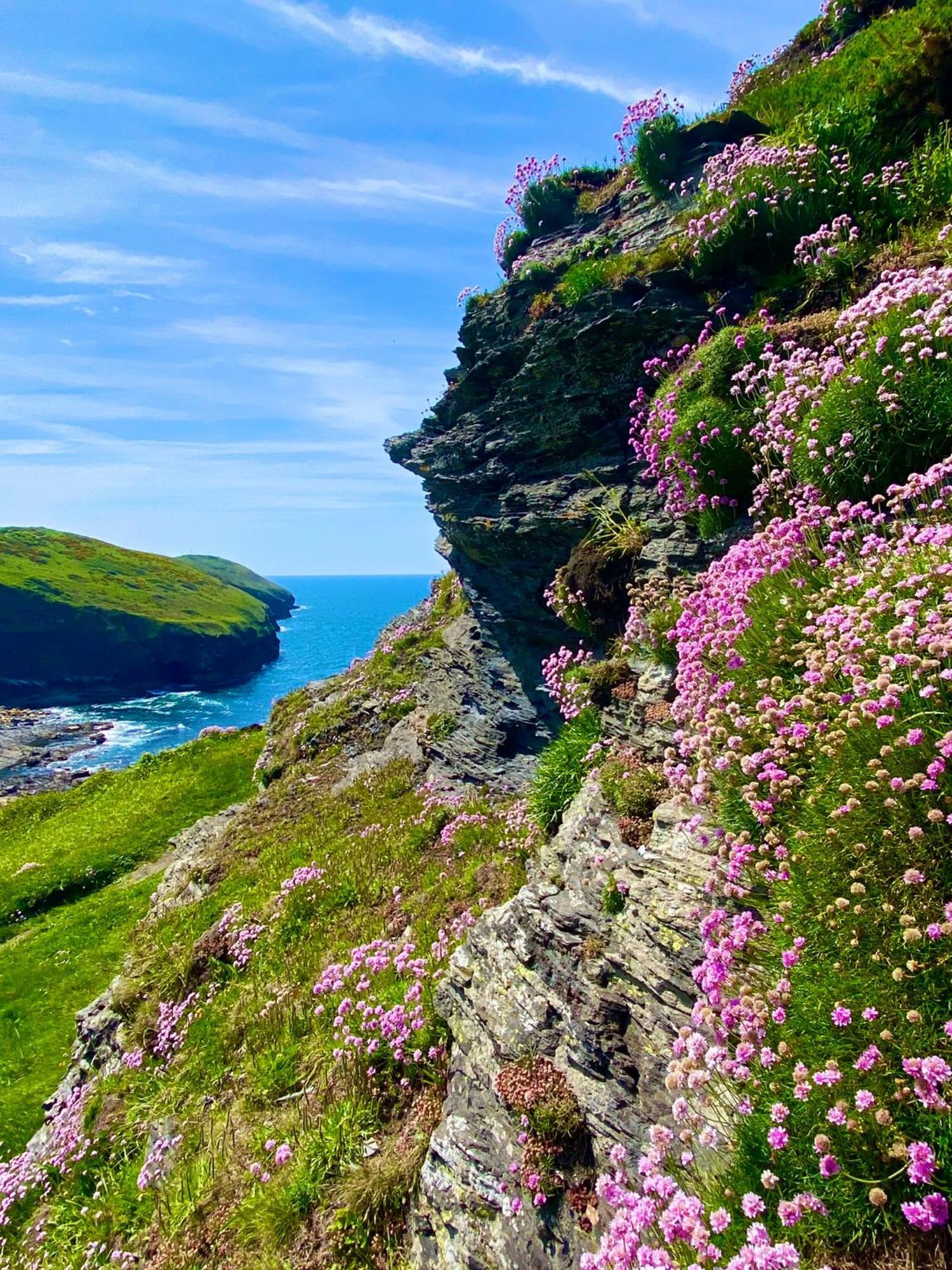 Polrunny Farm Blackberry Cottage - Cornwall Bliss In Sight Of The Sea Boscastle Dış mekan fotoğraf